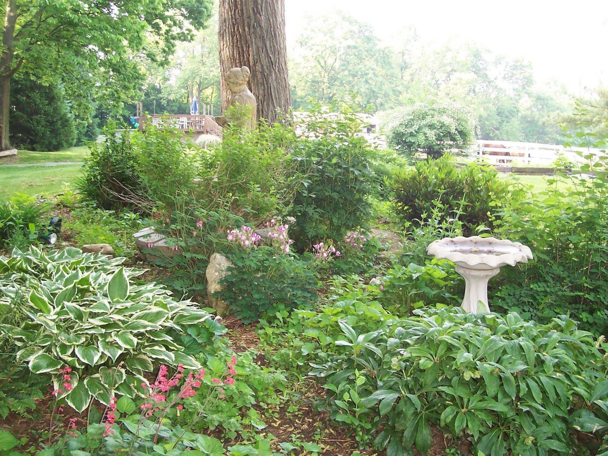 Fallen Tree Farm Bed And Breakfast Carlisle Exterior photo